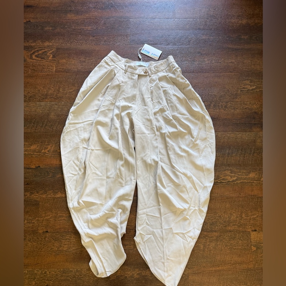 Balloon Wide-Leg Pants - Picture 7 of 8
